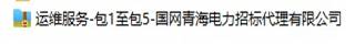 国网青海省电力公司2023年第六次服务招标采购项目招标公告