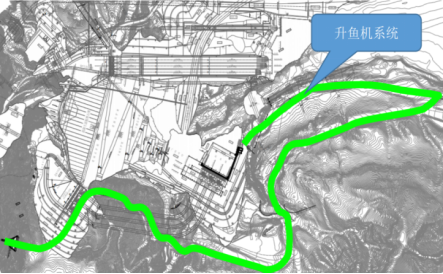 羊曲水电站鱼类集群效应观测和过鱼效果评估及适应性管理研究技术服务招标公告