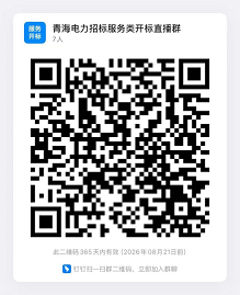 国网青海省电力公司2026年服务类第二次公开招标采购项目招标公告
